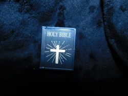 bible mini main